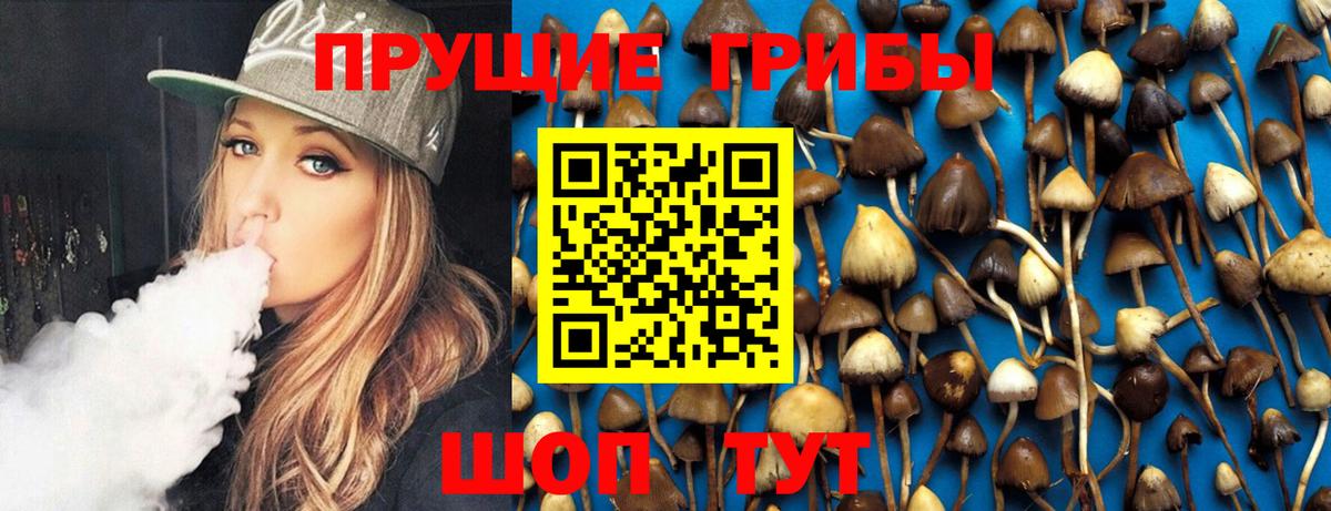 Галлюциногенные грибы MAGIC MUSHROOMS  Вход с VPN  Кудрово 