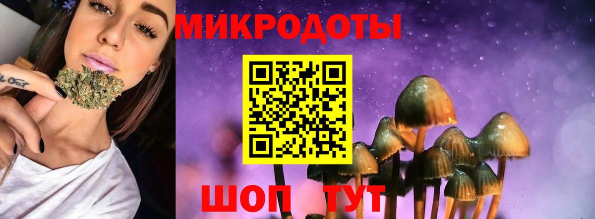 Псилоцибиновые грибы Psilocybine cubensis Кудрово
