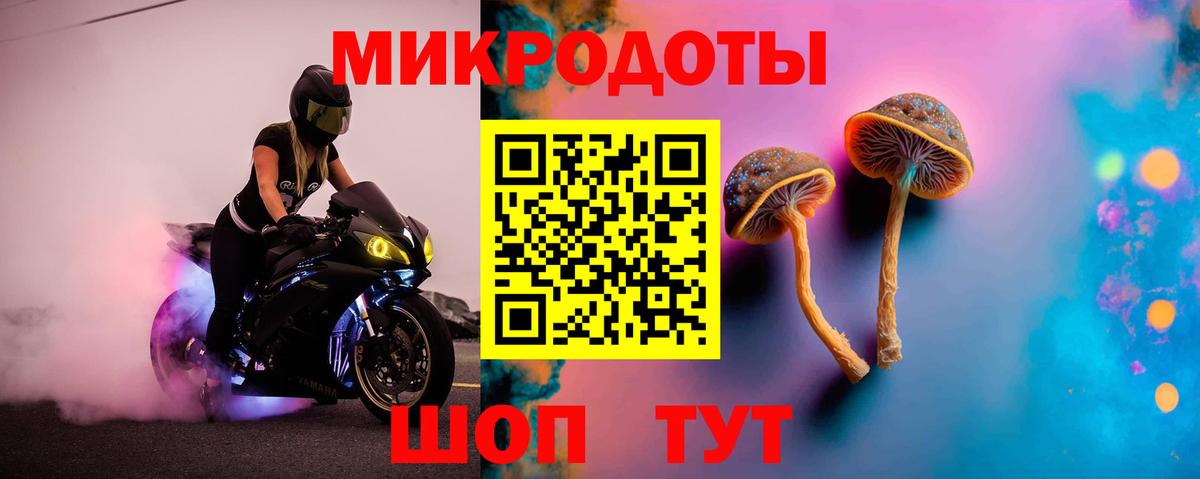 Cocaine Кудрово